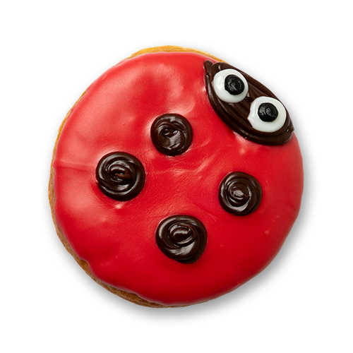 Ladybug